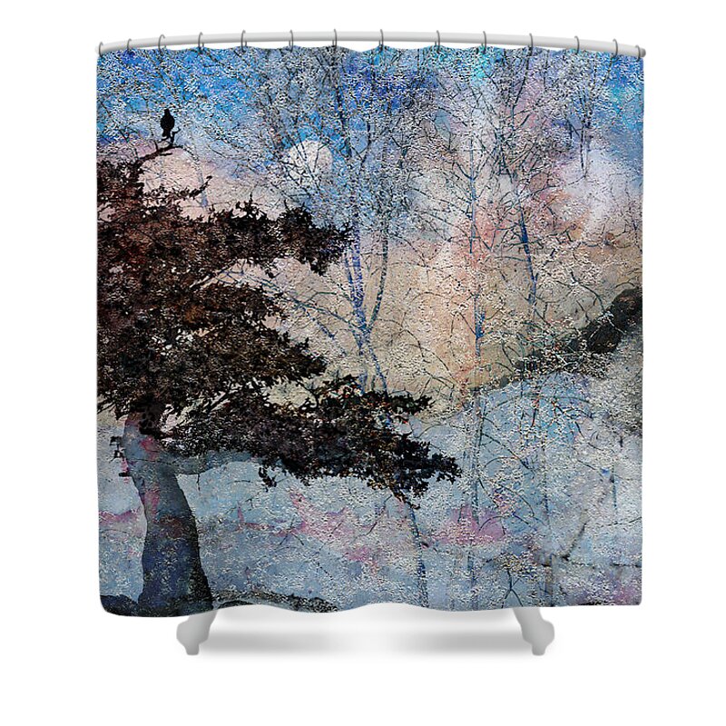 Winter Shower Curtain featuring the photograph Inspira by Ed Hall