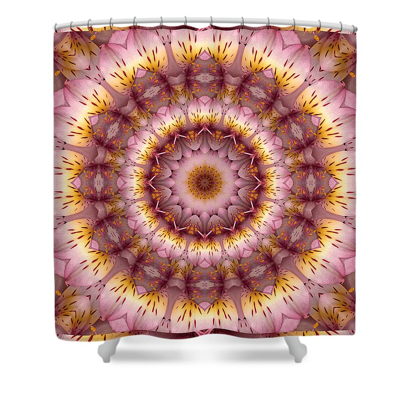 Mandalas Shower Curtain featuring the photograph Inspiration by Bell And Todd