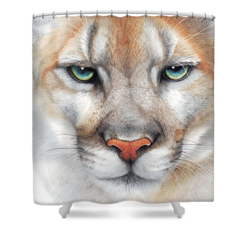Mountain Lion Shower Curtain featuring the drawing Intensity - mountain lion - puma by Peter Williams