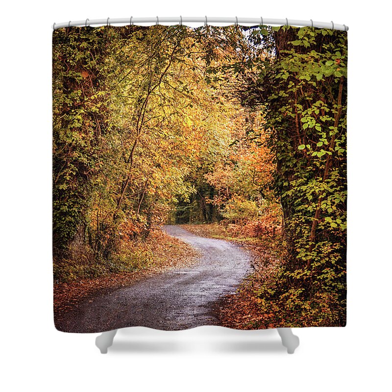 Kremsdorf Shower Curtain featuring the photograph Into The Autumnsphere by Evelina Kremsdorf