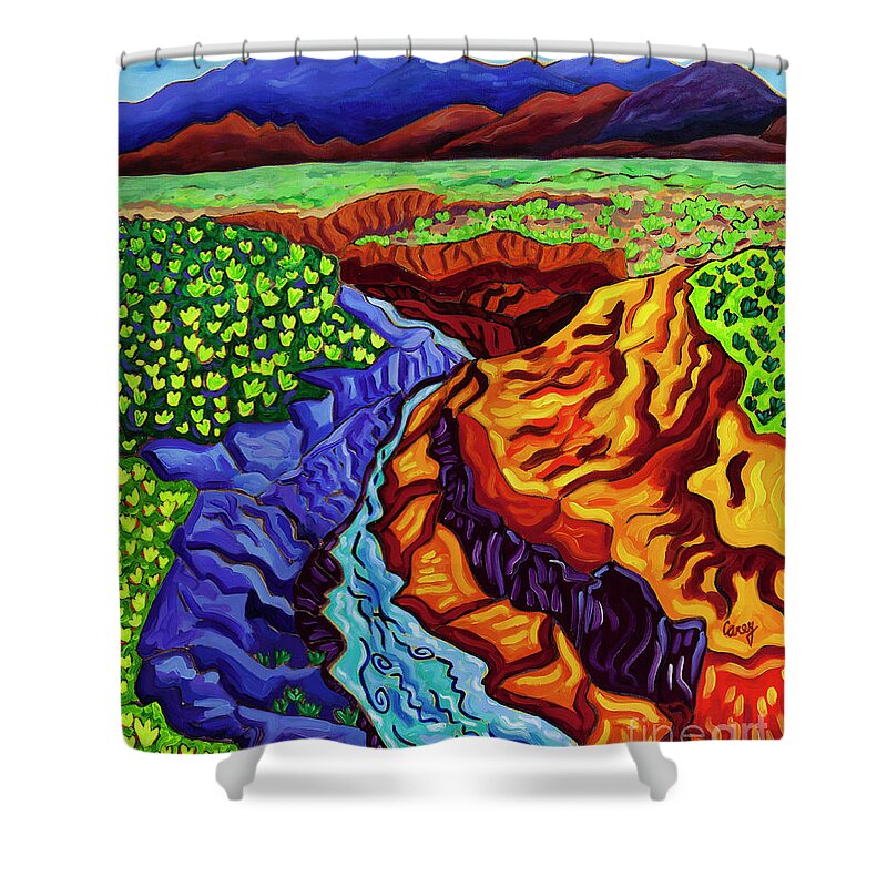 Santa Fe Shower Curtain featuring the painting Into the Earth by Cathy Carey