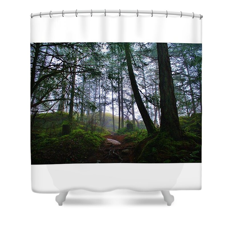 Lone Tree Shower Curtains