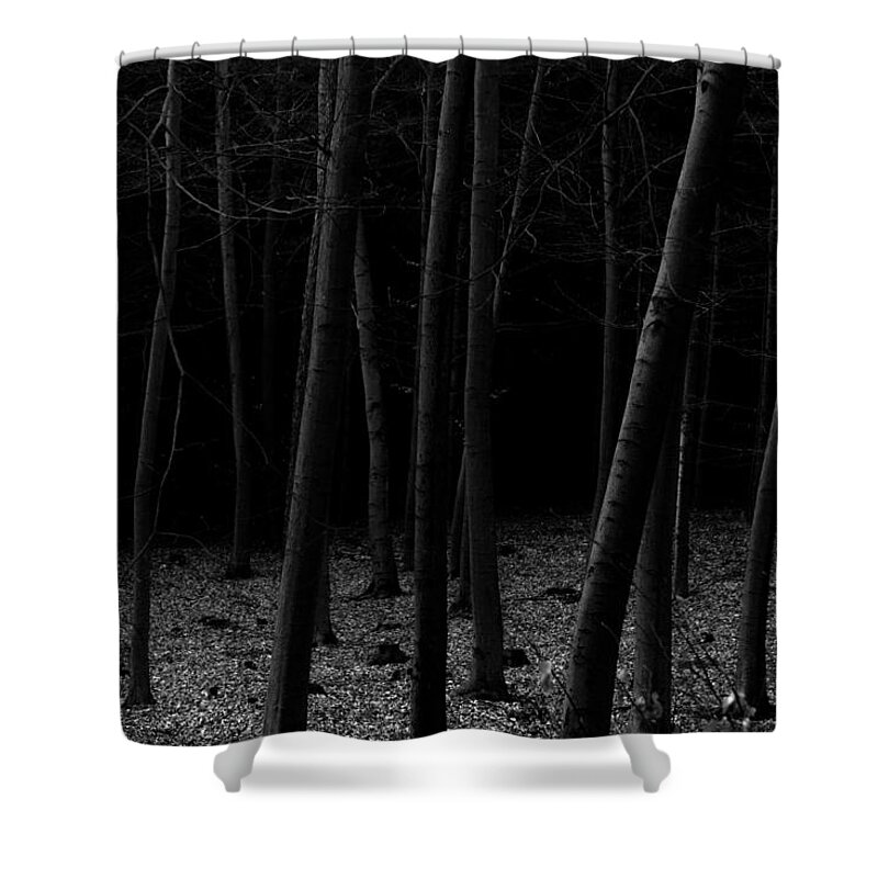 Fine Art Shower Curtain featuring the photograph Silent Woods by Dorit Fuhg