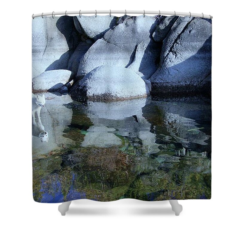 Lake Tahoe Shower Curtain featuring the photograph Into The Light by Sean Sarsfield