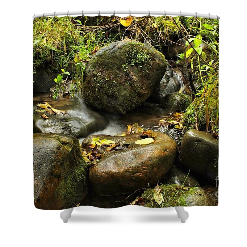 Stream Shower Curtain featuring the photograph Into The Stream 4 by Jimmy Ostgard