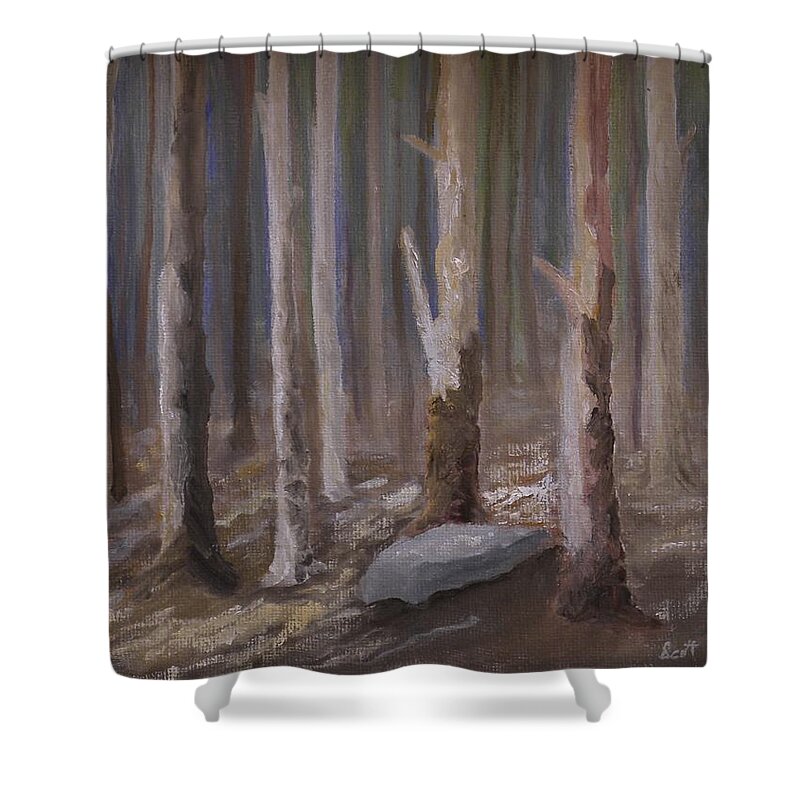 Woods Trees Landscape Rocks Sunlight Mist Shower Curtain featuring the painting Into The Woods by Scott W White