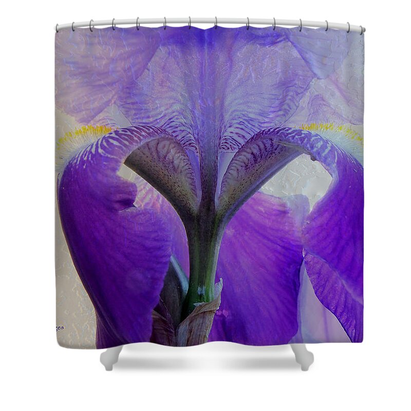 Iris Shower Curtain featuring the photograph Iris and Ice by Kae Cheatham