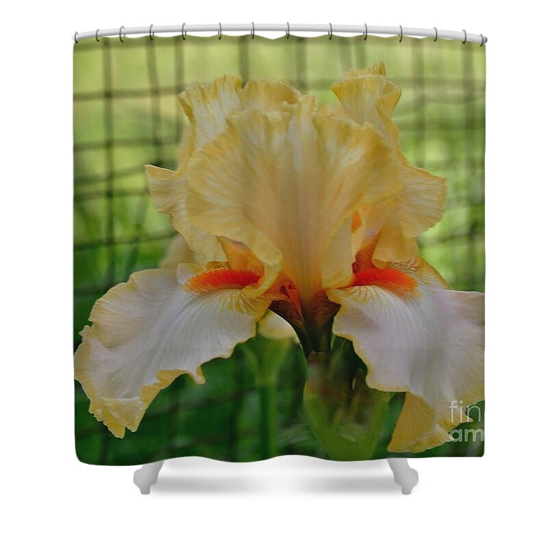 Photo Shower Curtain featuring the photograph Iris By The Fence by Marsha Heiken