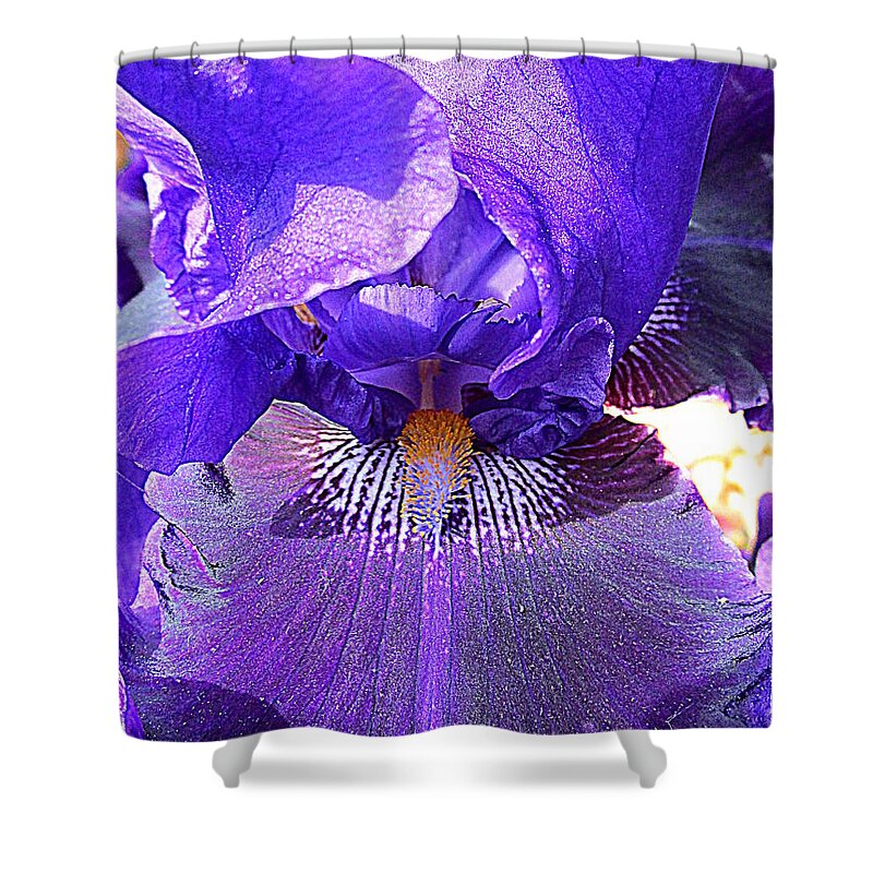 Iris Shower Curtain featuring the photograph Iris Garden 16 by Randall Weidner