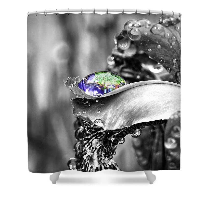 Iris Shower Curtain featuring the digital art Iris In Black And Color by Kathleen Illes