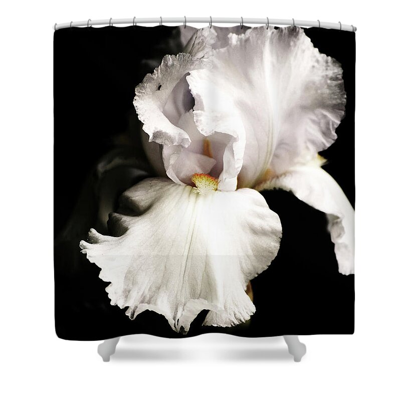 Cold Shower Curtain featuring the photograph Iris In Pose by Deborah Crew-Johnson