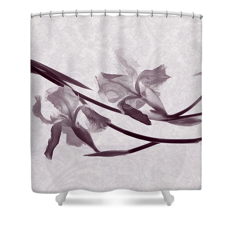 Irises Shower Curtain featuring the photograph Iris Rhapsody toned by Leda Robertson