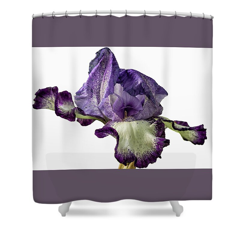 Iris Shower Curtain featuring the photograph Iris with Flare by Belinda Greb