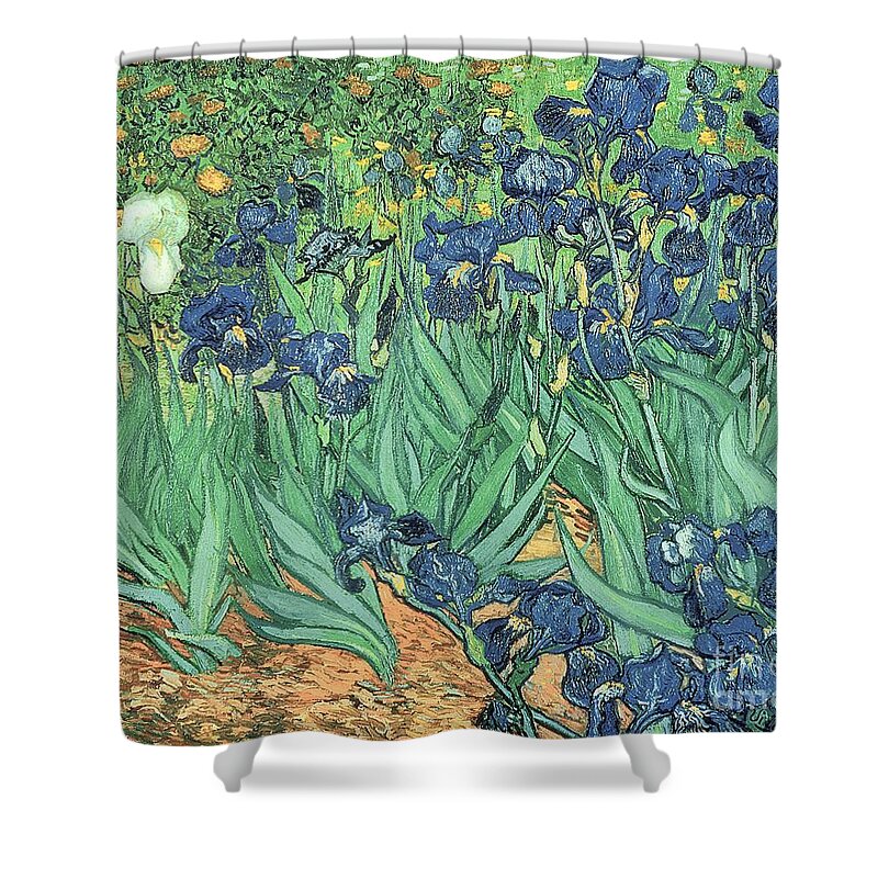 Irises Shower Curtain featuring the painting Irises by Vincent Van Gogh by Vincent Van Gogh