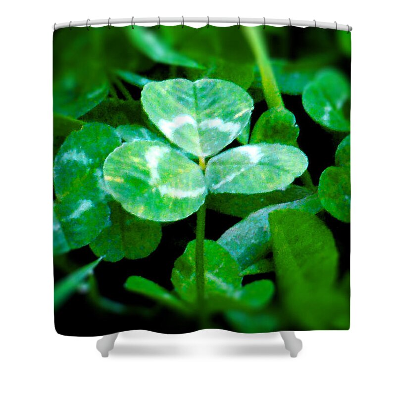 Clover Shower Curtain featuring the photograph Irish Proud by Wild Thing