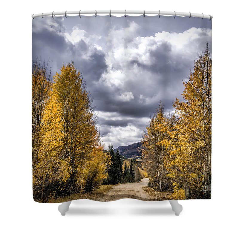 Ironton Shower Curtain featuring the photograph Ironton Colorado Trailhead by Janice Pariza