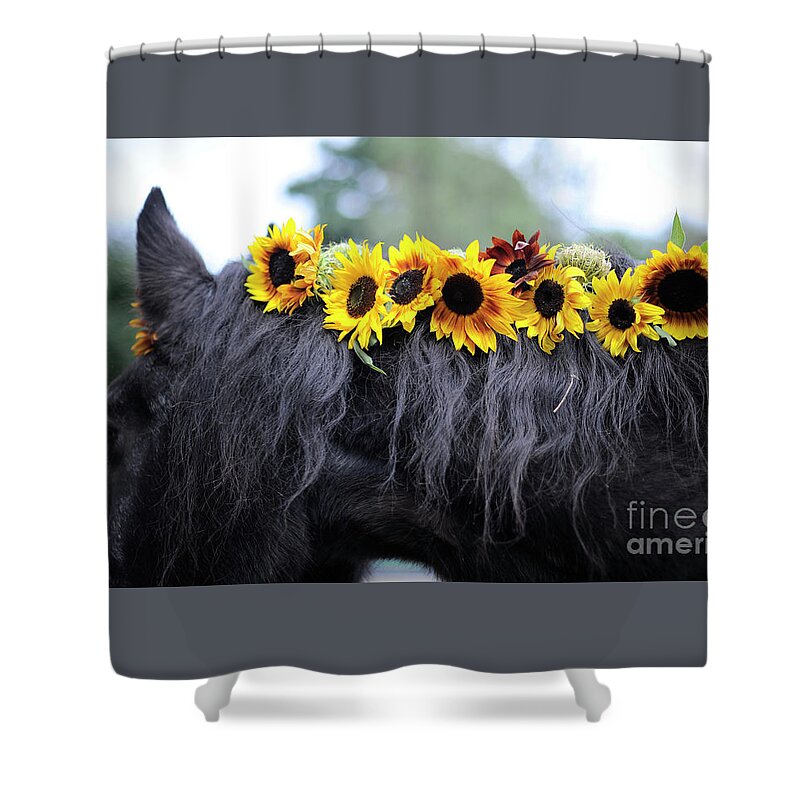 Rosemary Farm Shower Curtain featuring the photograph Isabelle and the Sunflowers by Carien Schippers