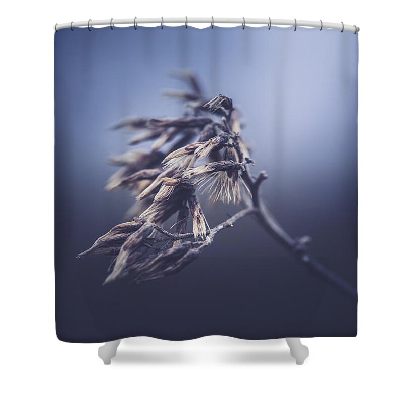 Plant Shower Curtain featuring the photograph It Seemed To Last For Days by Shane Holsclaw