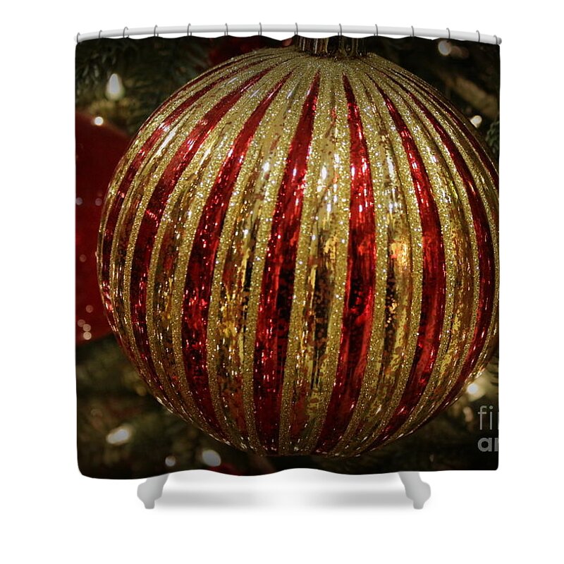 Christmas Shower Curtain featuring the photograph Red and Gold for Christmas by Dora Sofia Caputo