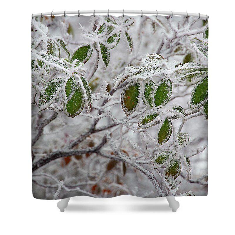 Frost Shower Curtain featuring the photograph It's Cold Outside by Mike Eingle