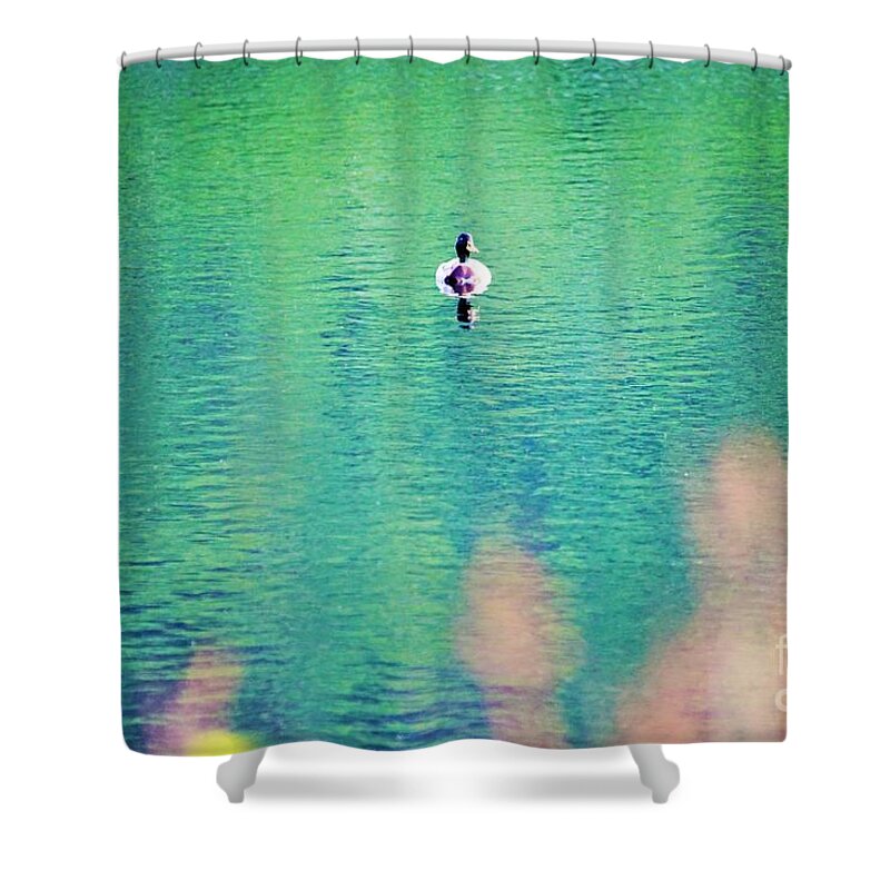 Duck Shower Curtain featuring the photograph Its just me by Merle Grenz
