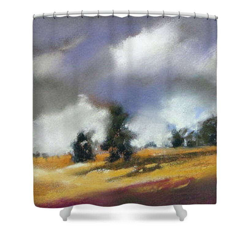Landscape Shower Curtain featuring the painting It's Showtime by Rae Andrews