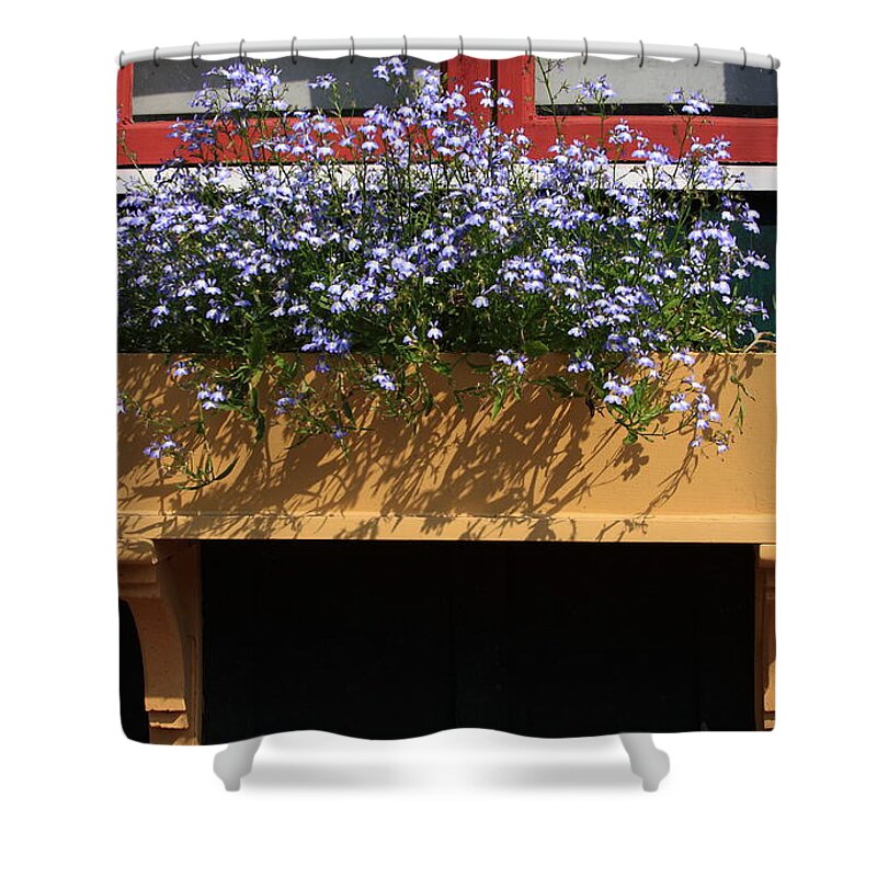 Flowers Shower Curtain featuring the photograph It's Summer by Lyle Hatch