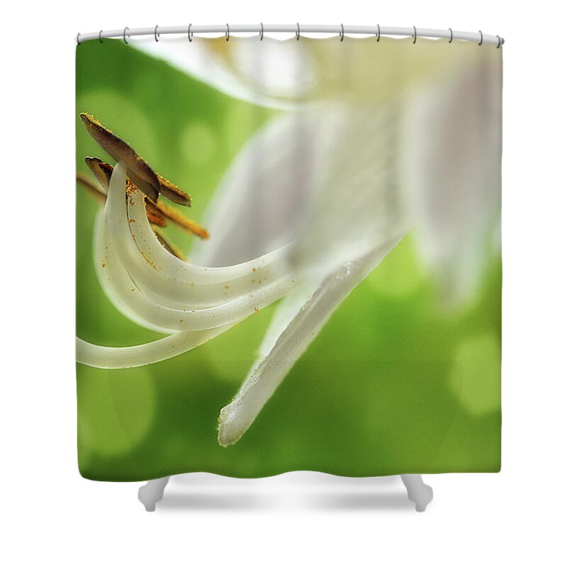 Hosta Shower Curtain featuring the photograph It's Summer Time by Mike Eingle