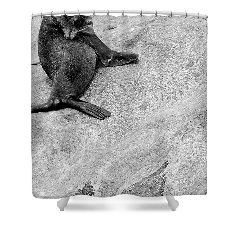 Digital Black And White Photo Shower Curtain featuring the photograph It's This Itch BW by Tim Richards