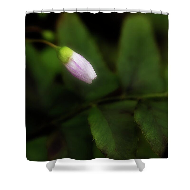 Flower Shower Curtain featuring the photograph It's Time by Mike Eingle