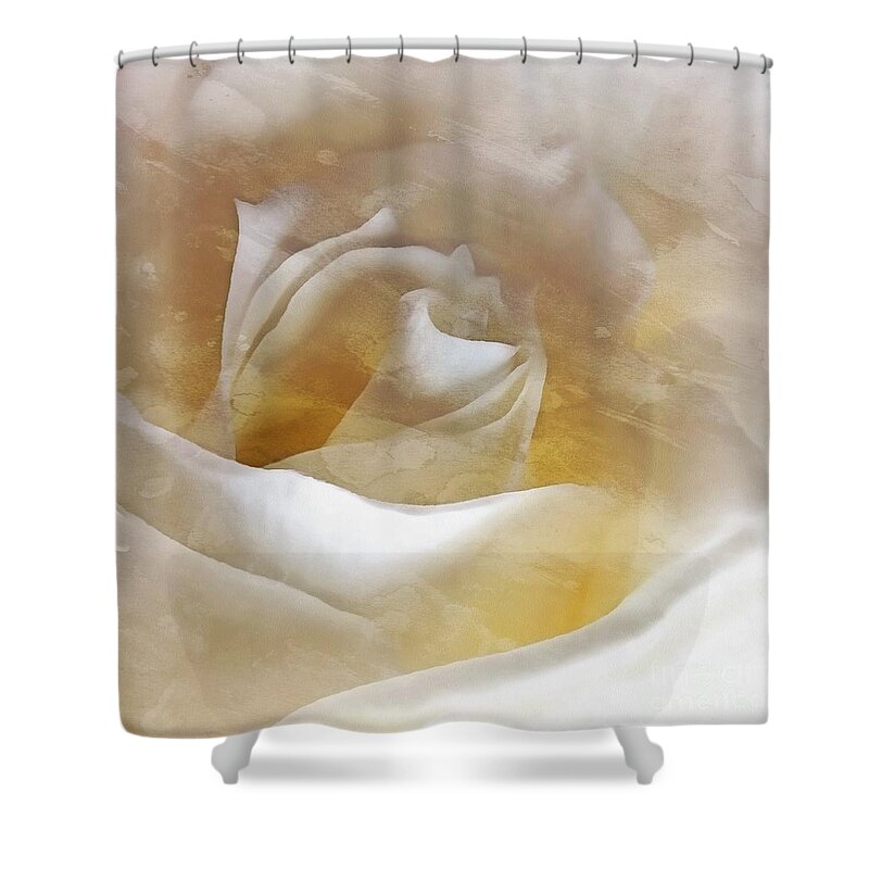 Rose Shower Curtain featuring the photograph Ivory Rose - An Affair to Remember  by Janine Riley