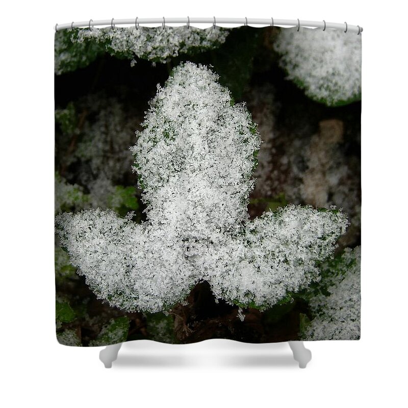 Snow Shower Curtain featuring the photograph Ivy in Snow by Carl Moore