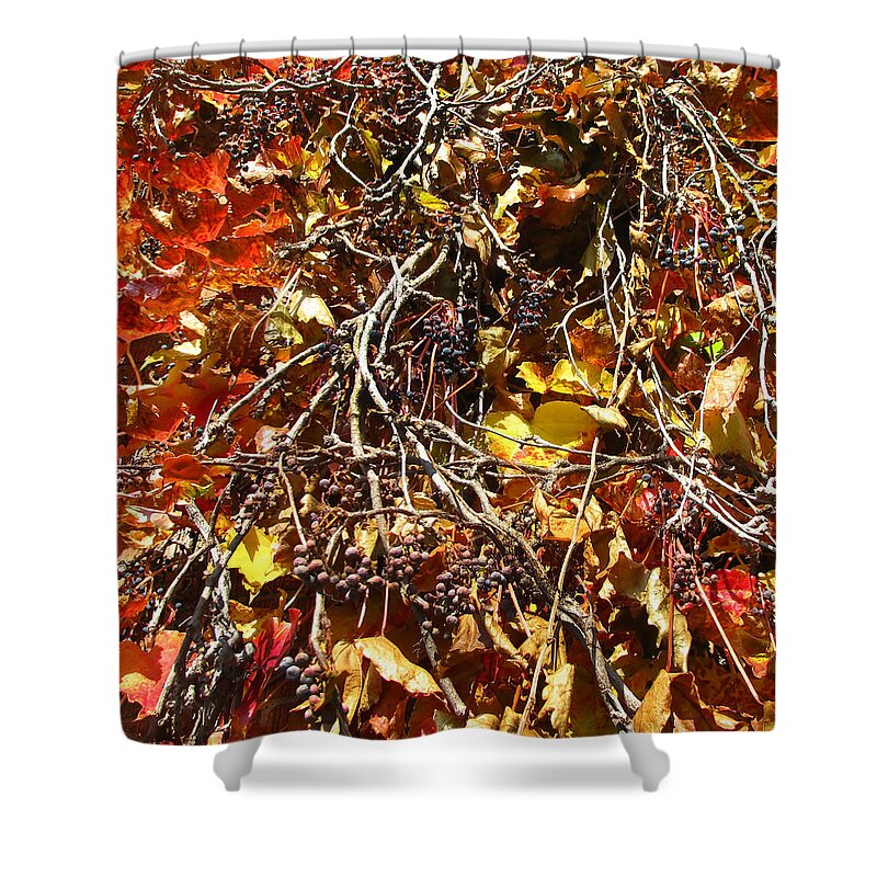 Plant Shower Curtain featuring the photograph Ivy by Mary Lane