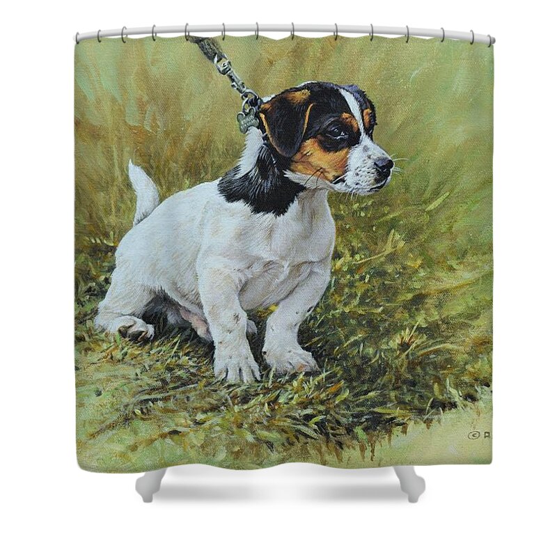 Dog Shower Curtain featuring the painting Jack Russell Portrait by Alan M Hunt