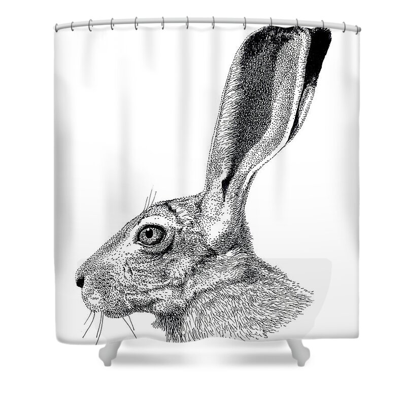 Pen Shower Curtain featuring the drawing Jackrabbit by Scott Woyak