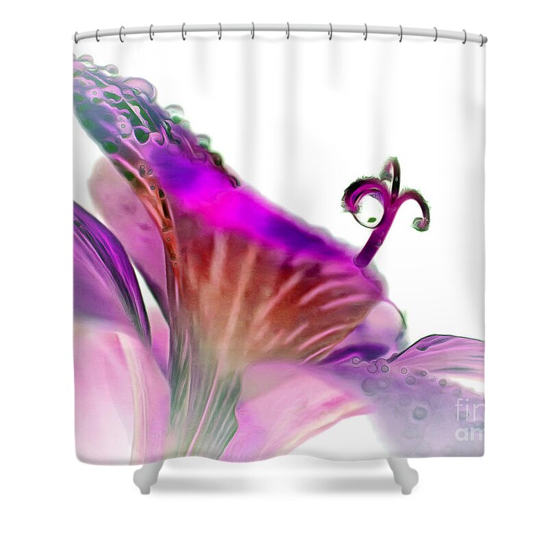 Amaryllis Shower Curtain featuring the digital art January Dreaming by Krissy Katsimbras