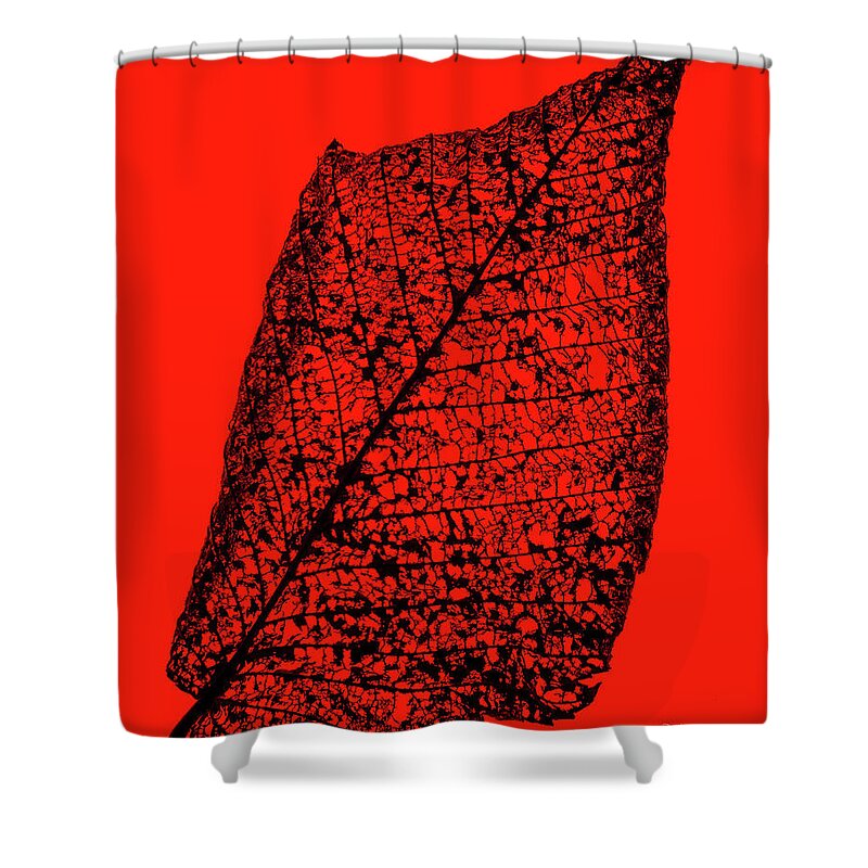 Japanese Beetle Shower Curtain featuring the photograph Japanese Beetle Artwork Leaf by Ed Peterson