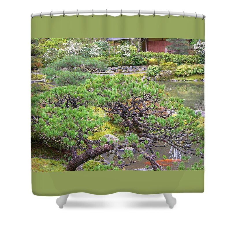 Japanese Shower Curtain featuring the photograph Japanese Elm by Maro Kentros