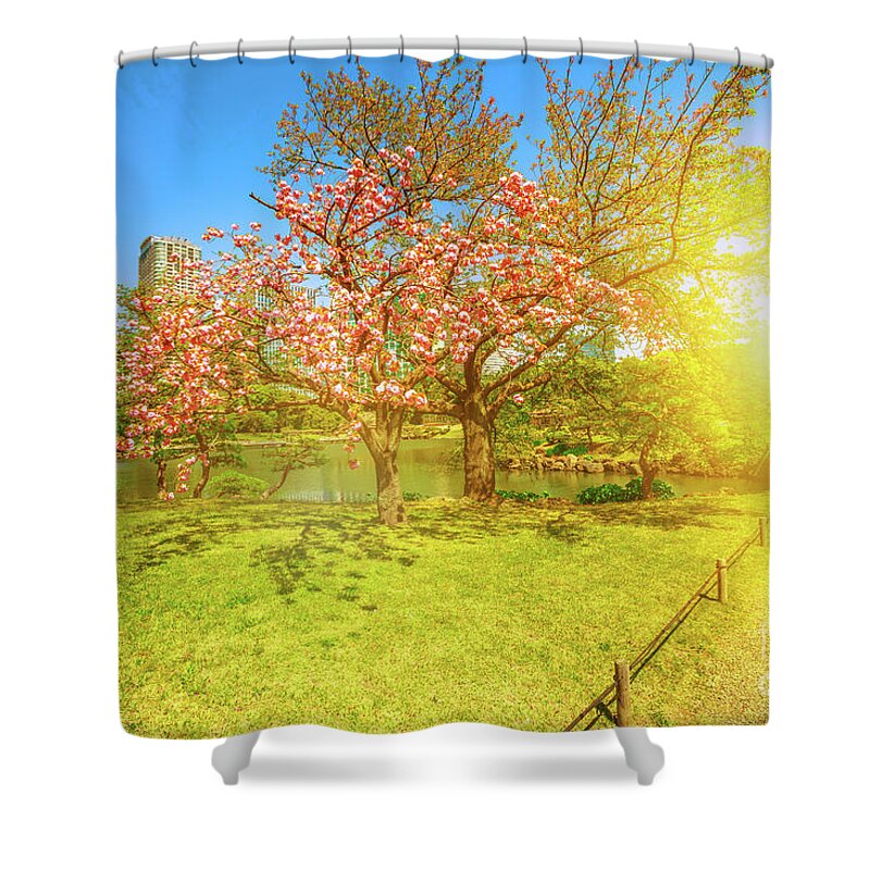 Cherry Blossom Shower Curtain featuring the photograph Japanese garden Cherry blossom by Benny Marty
