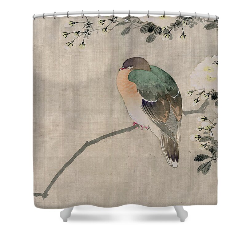 Japan Shower Curtain featuring the painting Japanese Silk Painting of a Wood Pigeon by Japanese School
