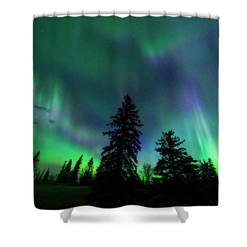 Aurora Borealis Shower Curtain featuring the photograph Jasper National Park Aurora by Dan Jurak
