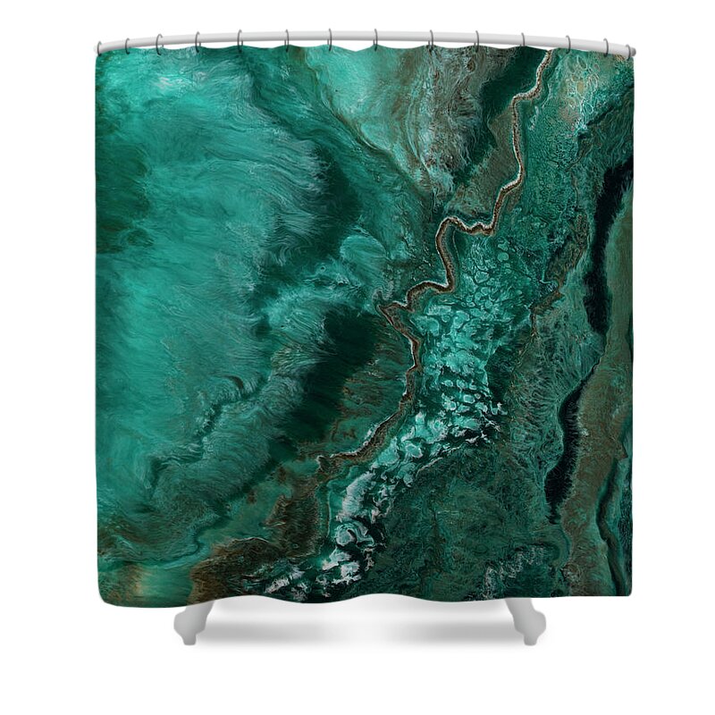 Teal Shower Curtain featuring the painting Java by Tamara Nelson