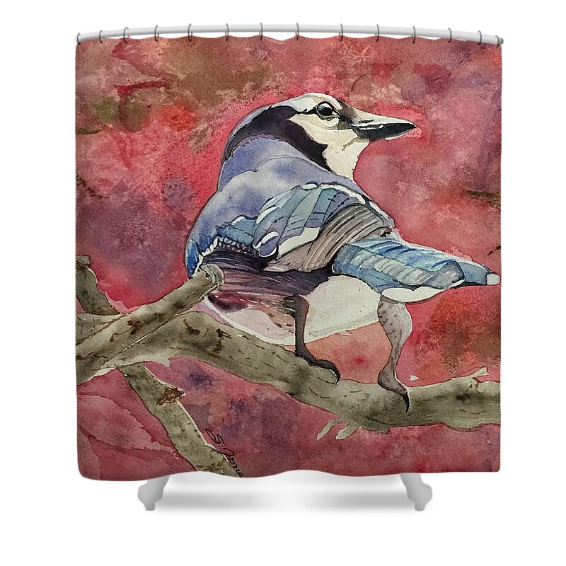 Blue Jay Shower Curtain featuring the painting Jay in the Japanese Maple by Sonja Jones