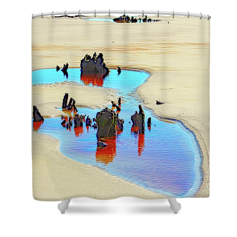 Nature Shower Curtain featuring the photograph Jekyll Driftwood Beach Puddle by DB Hayes