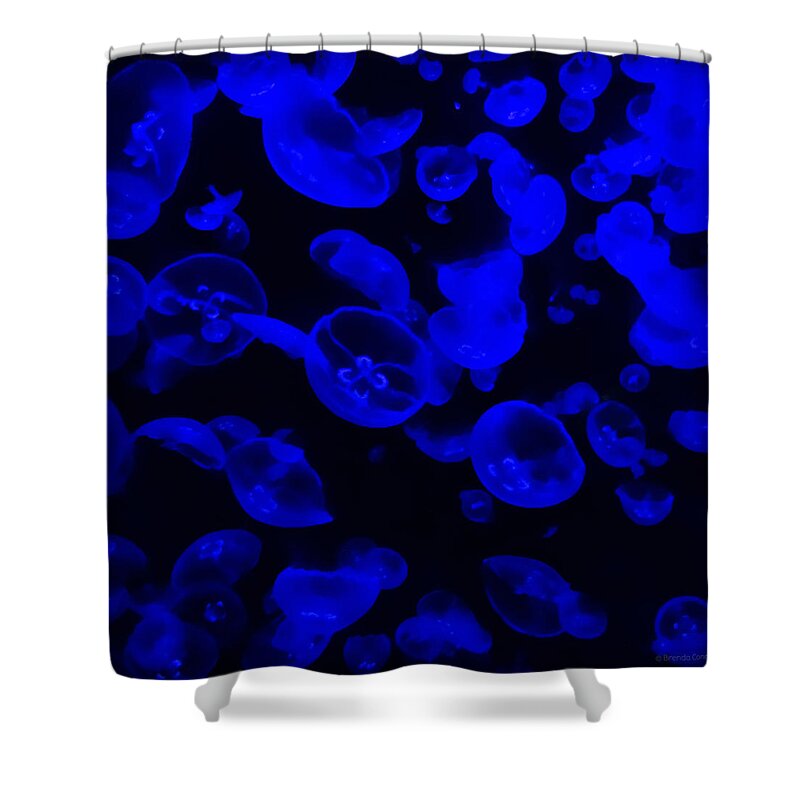 Jellies Dude. Jelly Shower Curtain featuring the photograph Jellies, Dude by Dark Whimsy