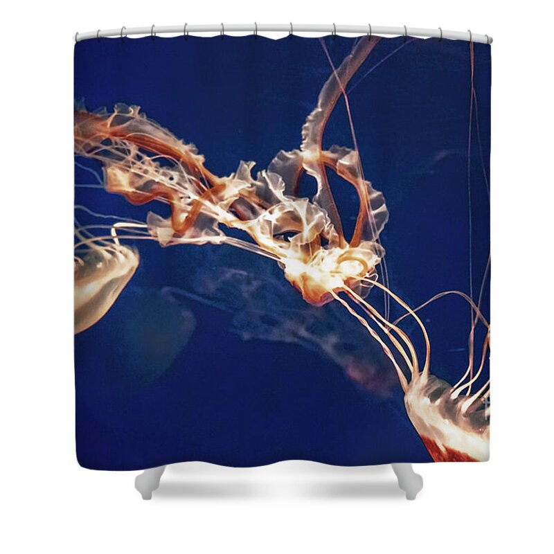 Jelly Fish Shower Curtain featuring the digital art Jelly Fish Web by Georgianne Giese