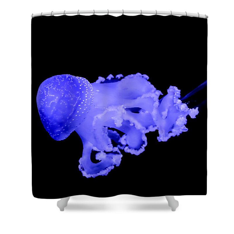 Jellyfish Shower Curtain featuring the photograph Jellyfish by Amanda Mohler