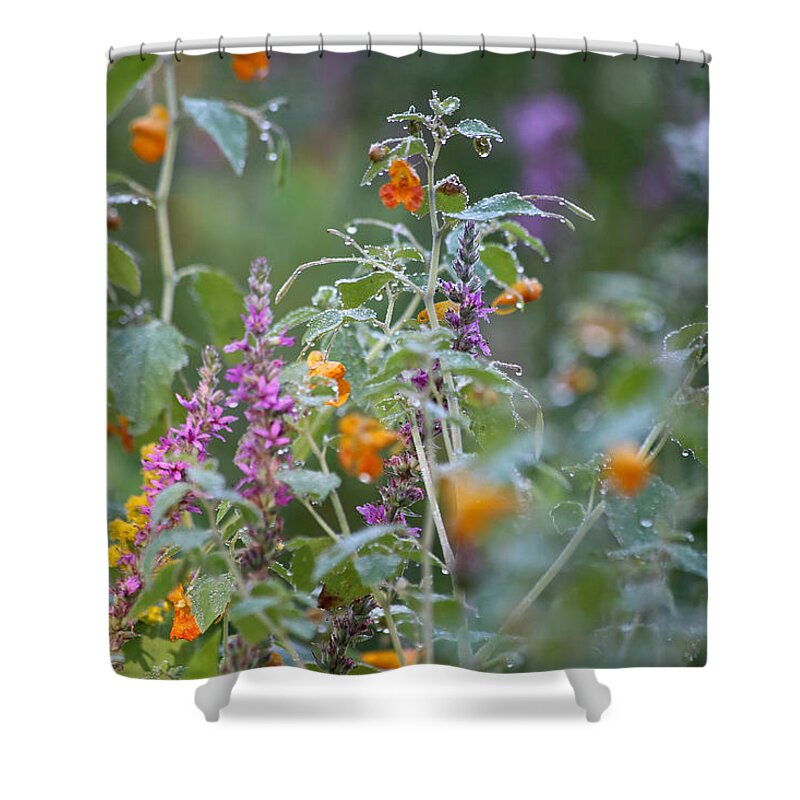 Jewel Weed Shower Curtain featuring the photograph Jewel Weed with Dew Diamonds by John Meader