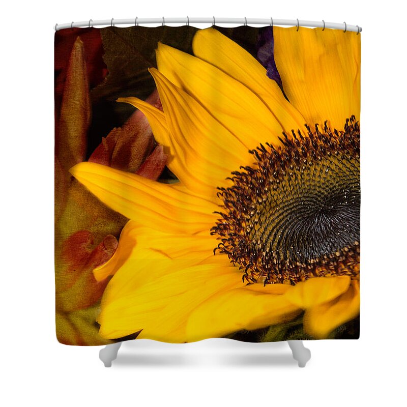 Sunflower Shower Curtain featuring the photograph Jeweled by Arlene Carmel