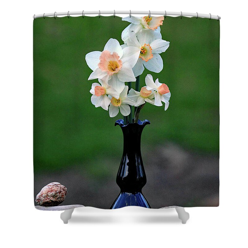Jims Daffodils Shower Curtain featuring the photograph Jims Daffodils by PJQandFriends Photography